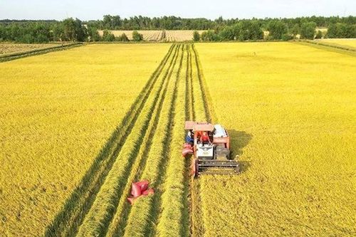 Việt Nam dự kiến giảm 1 triệu ha đất nông nghiệp phục vụ hạ tầng và đô thị đến năm 2030