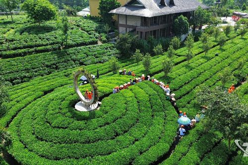 Kết nối nông nghiệp - du lịch - văn hóa