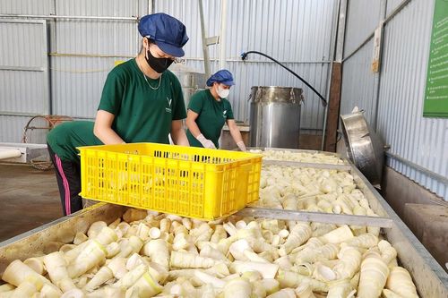 Liên kết hợp tác xã gia tăng giá trị nông sản
