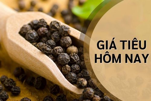 Ngày 4/5: Giá tiêu tăng mạnh, cà phê đồng loạt giảm