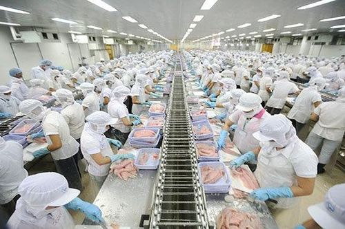 Thách thức kép với doanh nghiệp thủy sản trong hành trình gỡ 'thẻ vàng'
