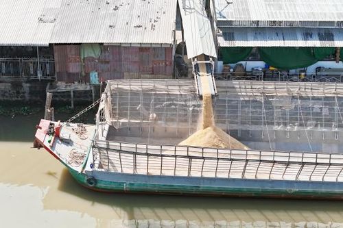 Cần có giải pháp xử lý ô nhiễm bụi từ các nhà máy xay xát lúa gạo ở Cờ Đỏ