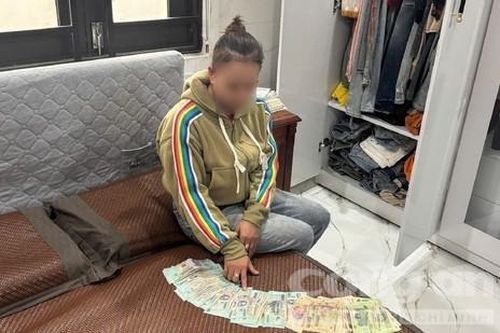 'Kiều nữ' đánh tráo con heo đất, lấy trộm hàng chục triệu đồng bên trong