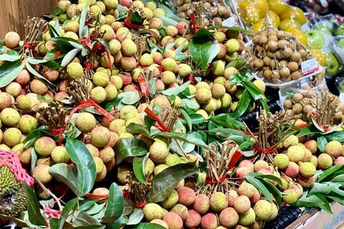 Tiểu thương lý giải giá vải tươi đầu mùa cao chót vót nhưng vẫn đắt hàng