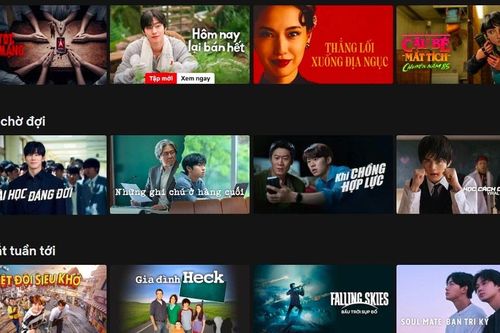 Netflix Việt 'hồi sinh': Hàng loạt phim mới, từ phim Hàn đến anime được 'rã đông'