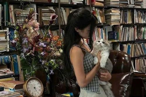Khám phá 4 kiểu hướng nội phổ biến