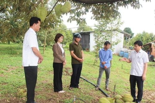 Đồng Nai: Mưa đầu mùa kèm lốc xoáy gây thiệt hại cho nhân dân