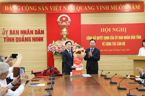 Công tác bổ nhiệm nhân sự mới nhất tại Quảng Ninh