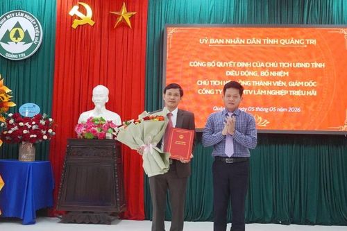 Điều động, bổ nhiệm lãnh đạo hai công ty lâm nghiệp chủ chốt ở Quảng Trị