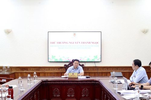 Đẩy nhanh tiến độ sửa đổi một số điều Luật trách nhiệm bồi thường của Nhà nước