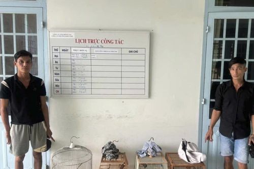 Trộm 4 lồng chim, hai đối tượng bị bắt