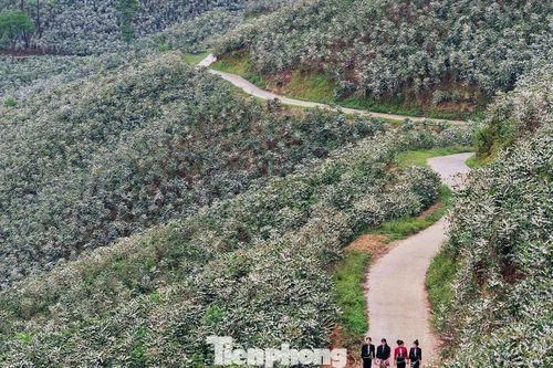 Cảnh sắc lạ thường ở Sơn La