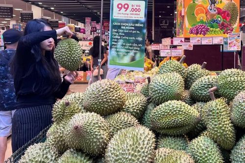 Sầu riêng rớt giá: Kẻ cười, người khóc