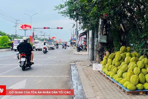 Giá sầu riêng giảm sâu tại ĐBSCL