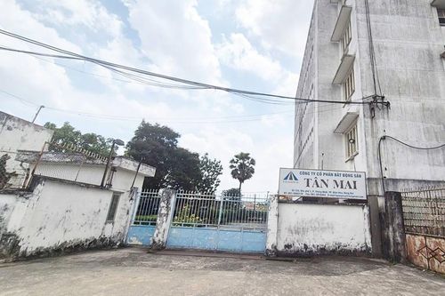 Công ty Bất động sản Tân Mai bị buộc nộp lại số lợi bất hợp pháp hơn 22,1 tỉ đồng