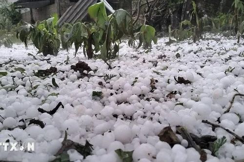 Mưa đá, dông lốc hoành hành: 3.100 ngôi nhà, 15.722 ha lúa bị thiệt hại