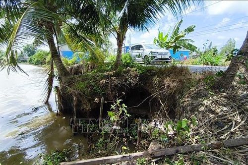 Nhiều điểm sạt lở nghiêm trọng dọc tuyến kênh ở Cà Mau