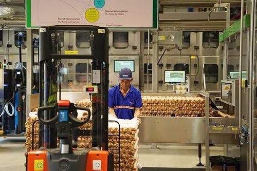 Vốn FDI vào Đà Nẵng tăng trưởng bứt phá