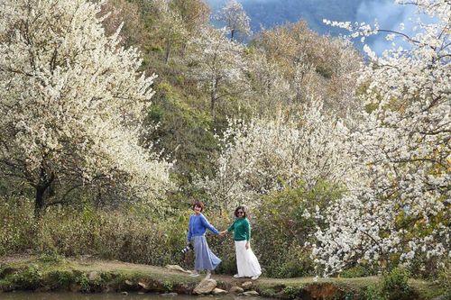 Đẩy mạnh quảng bá hình ảnh Việt Nam ra nước ngoài