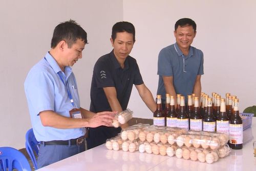 Lan tỏa phong trào thanh niên khởi nghiệp, chung sức xây dựng quê hương
