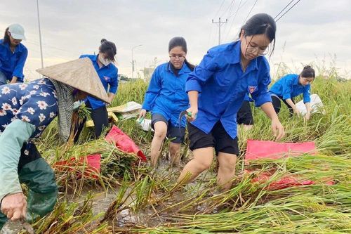 Thanh Hóa bổ sung hơn 6,3 tỷ đồng hỗ trợ khôi phục sản xuất nông nghiệp sau bão
