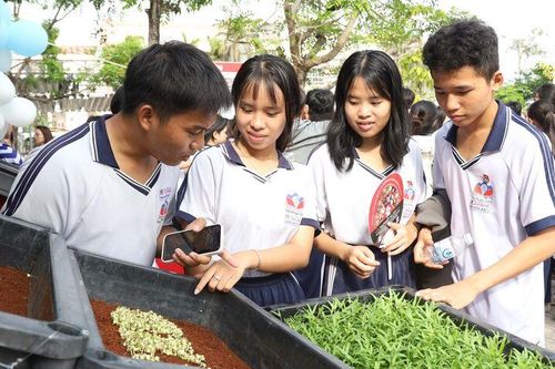 Sau lớp 9, học gì phù hợp?