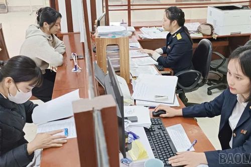 Tăng cường nuôi dưỡng nguồn thu nội địa, tạo nền tảng cho tăng trưởng bền vững
