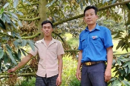 Thanh niên dân tộc thiểu số vươn lên làm giàu
