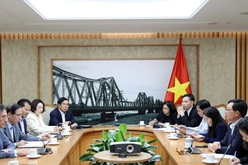 Dự án tổ hợp nghỉ dưỡng 5.200ha tại Gia Lai: Định hướng trở thành đảo tỷ phú toàn cầu