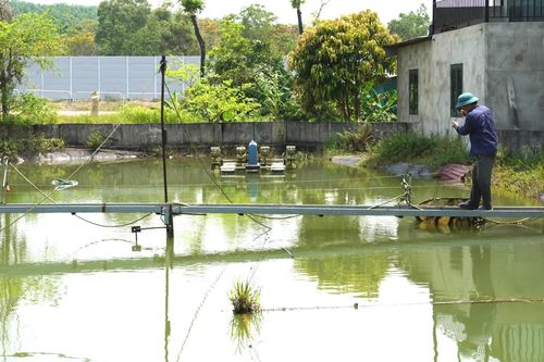 Vượt khó làm giàu