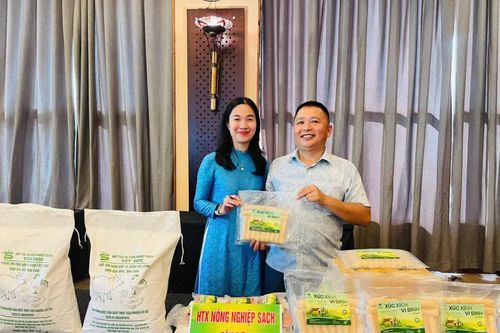 Ứng dụng công nghệ sinh học trong chăn nuôi