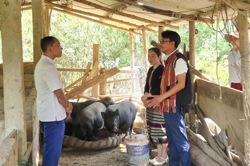 Đảng viên tiên phong phát triển kinh tế ở vùng biên