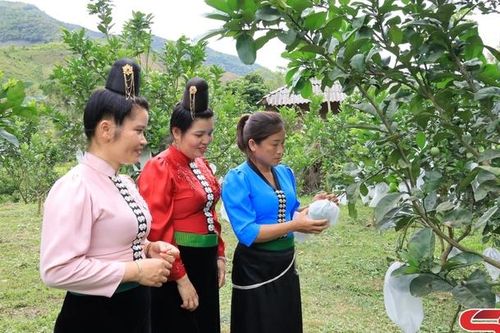 Phụ nữ xã Mường Sại thi đua xây dựng quê hương giàu đẹp
