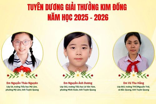 3 đội viên tiêu biểu của tỉnh được nhận Giải thưởng Kim Đồng
