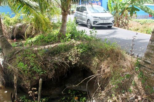 Cà Mau: Sạt lở đe dọa tuyến đường vào chùa Hưng Thiện