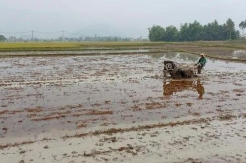 Gần 40% đất nông nghiệp bị suy thoái