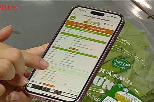 Hiện thực hóa Nghị quyết của Đảng: Để HTX là 'mắt xích' vững chắc trong nền kinh tế số