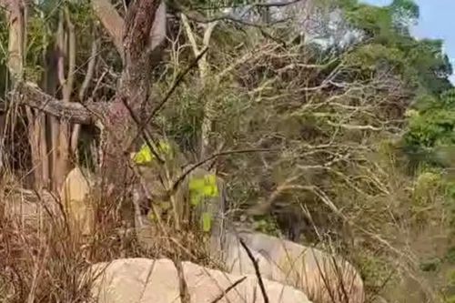 Điều tra vụ thi thể nam giới phân hủy trên núi cao ở Lâm Đồng