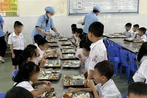 TP Hồ Chí Minh nỗ lực tìm giải pháp đảm bảo an toàn thực phẩm trong trường học