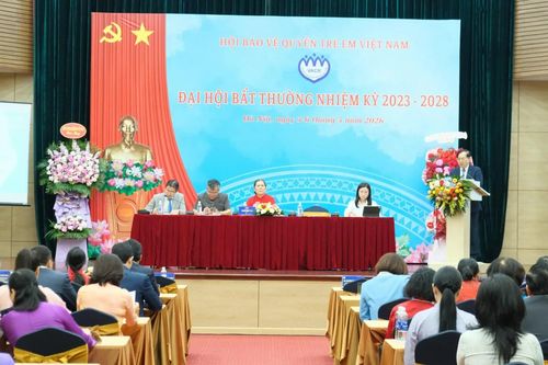 Khai mạc Đại hội bất thường khóa IV Hội Bảo vệ quyền trẻ em Việt Nam