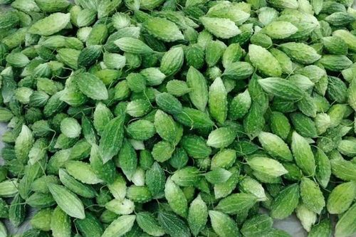 Mướp đắng rừng Cao Bằng