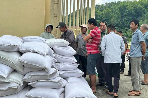 Xã Thông Nông tiếp nhận, cấp phát 73.920 kg gạo hỗ trợ hộ dân tham gia bảo vệ rừng