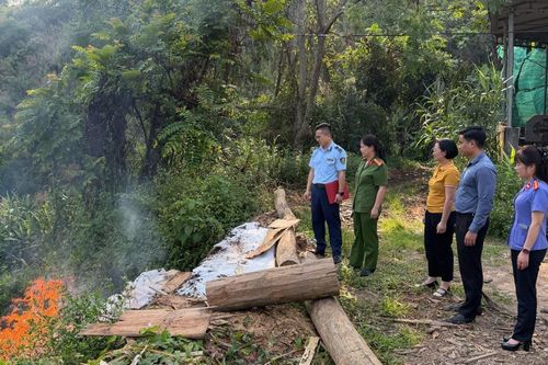Tiêu hủy tang vật vi phạm hành chính được xác lập quyền sở hữu toàn dân