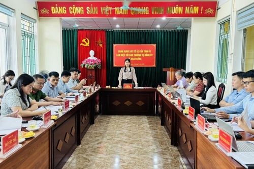 Đoàn giám sát số 02 của Tỉnh ủy làm việc với Ban Thường vụ Đảng ủy xã Bạch Đằng
