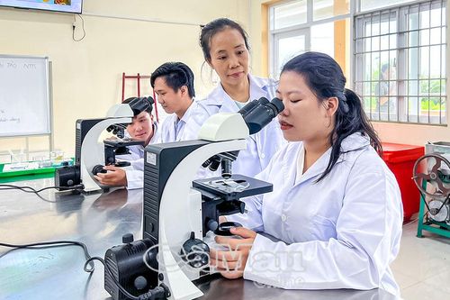 Tái cấu trúc đào tạo nghề