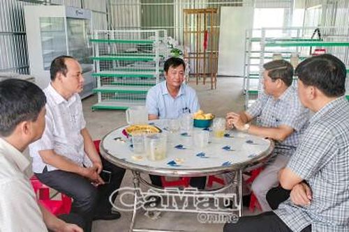 Khảo sát mô hình bồn bồn – cá đồng hiệu quả tại Khánh An