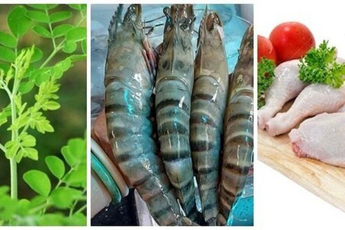 Cây này thường bị nhầm là rau ngót, canxi gấp 4 lần sữa, đem trộn tôm thịt được món thanh mát ngày hè