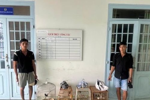 Đồng Nai: Bắt 2 đối tượng lẻn vào nhà dân trộm 4 con chim cảnh