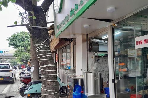 Vỉa hè Thủ đô Hà Nội thay đổi như thế nào sau nhiều đợt lập lại trật tự đô thị?