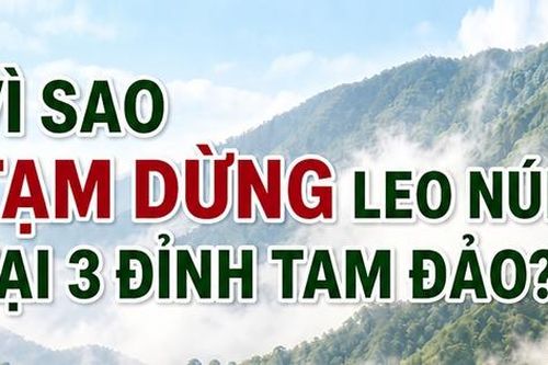 Vì sao tạm dừng leo núi tại 3 đỉnh ở Vườn quốc gia Tam Đảo?